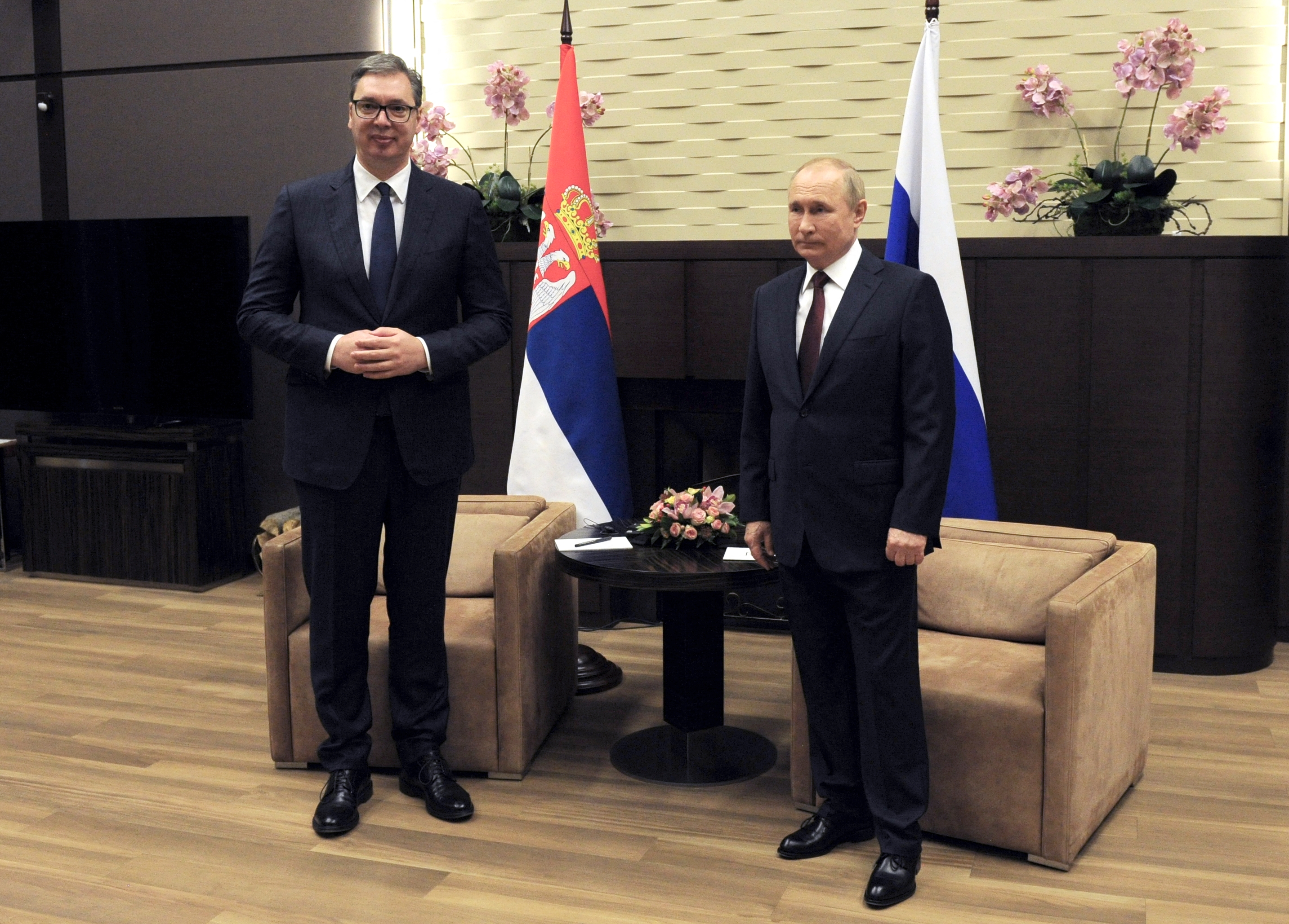 Aleksandar Vučić, Vladimir Putin