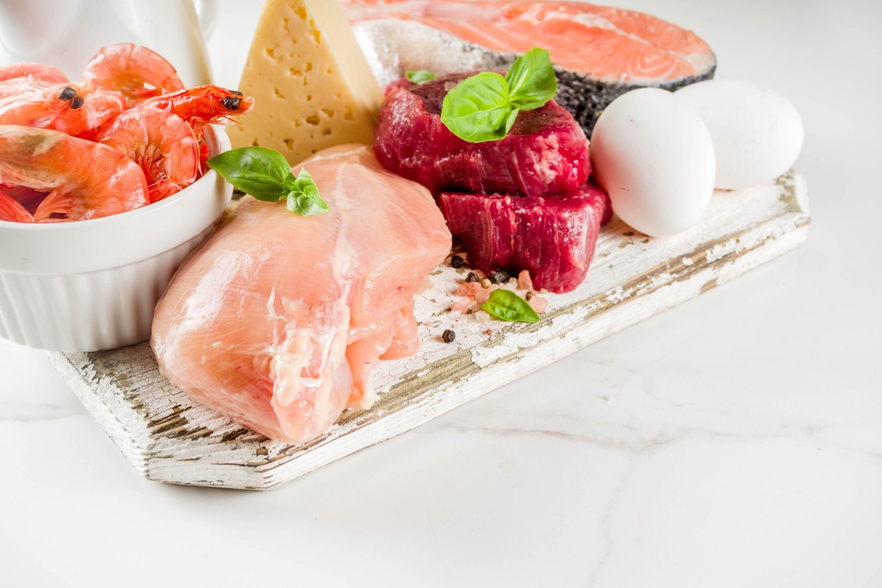 Animal protein sources - raw beef meat steak, chicken breast fillet, salmon fish, eggs, dairy milk, shrimps, cheese, copy space