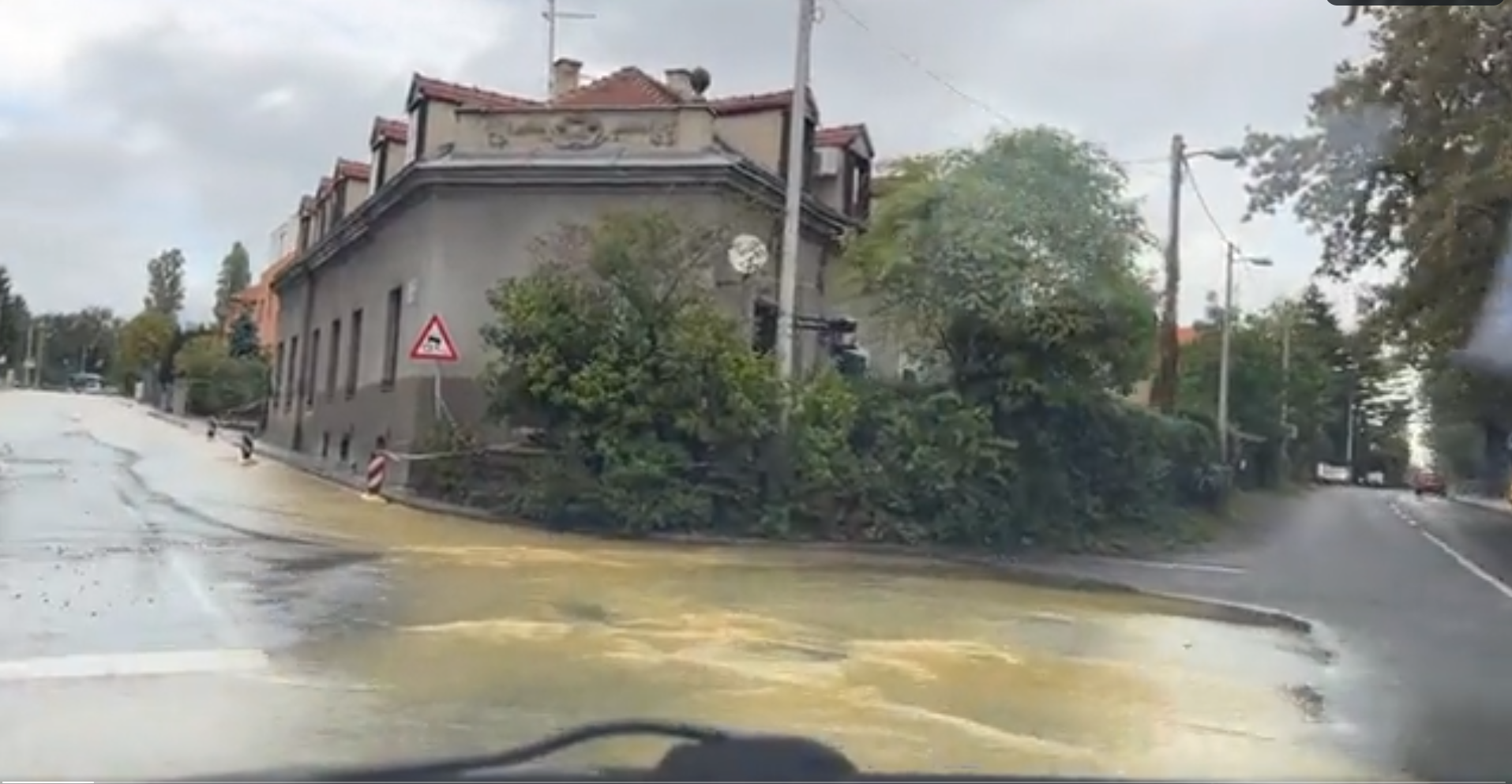 Poplava, mirogoj, renato petek