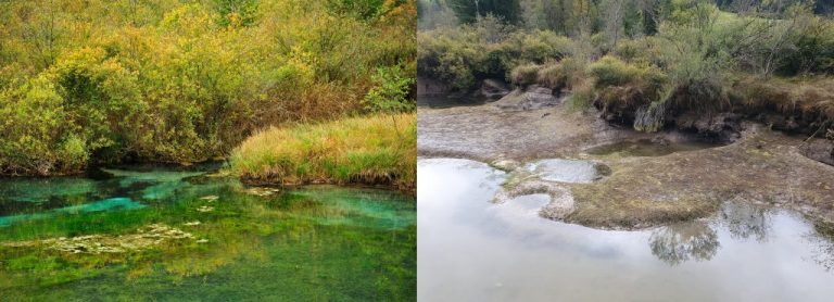 1664347356-1664283679-fotka5-1024x371-768x278