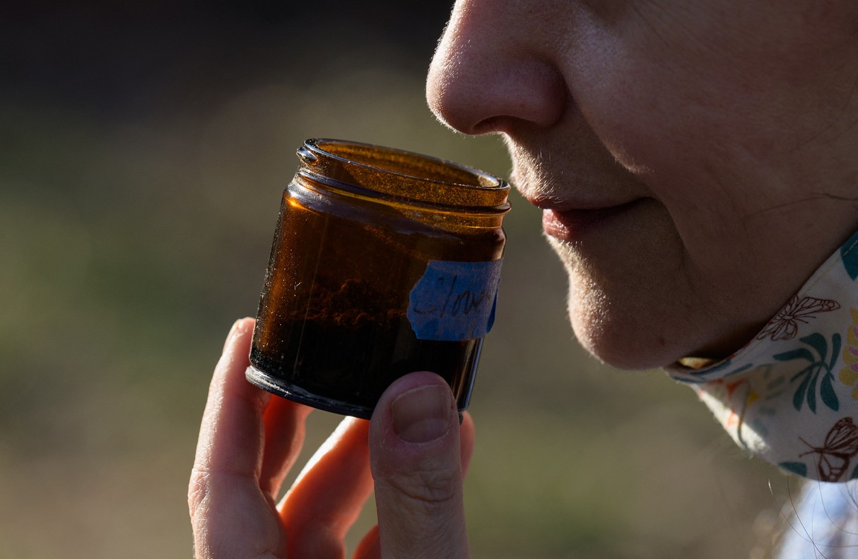 profimedia-0601754256