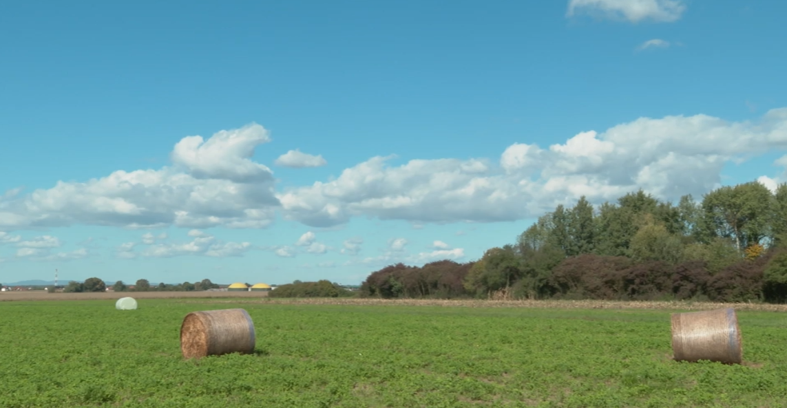 Bjelovar, geotermalna bušotina