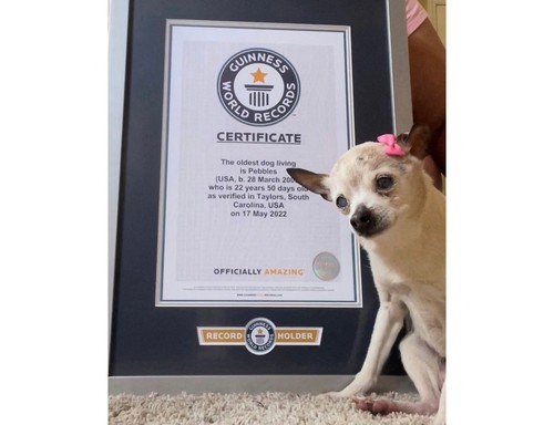 profimedia-0728714422