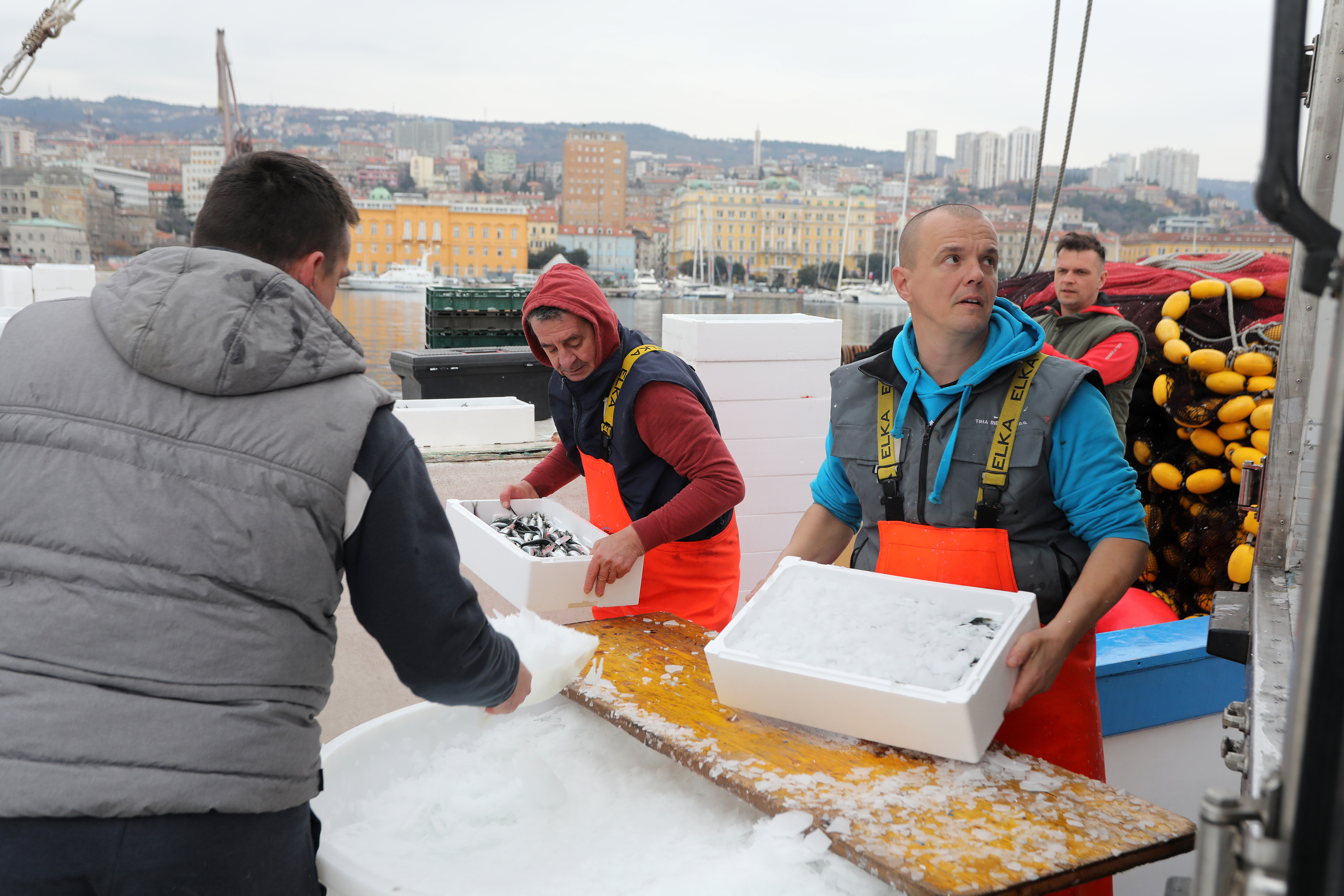 Rijeka: Bogat ulov plave ribe nakon što je završio lovostaj
