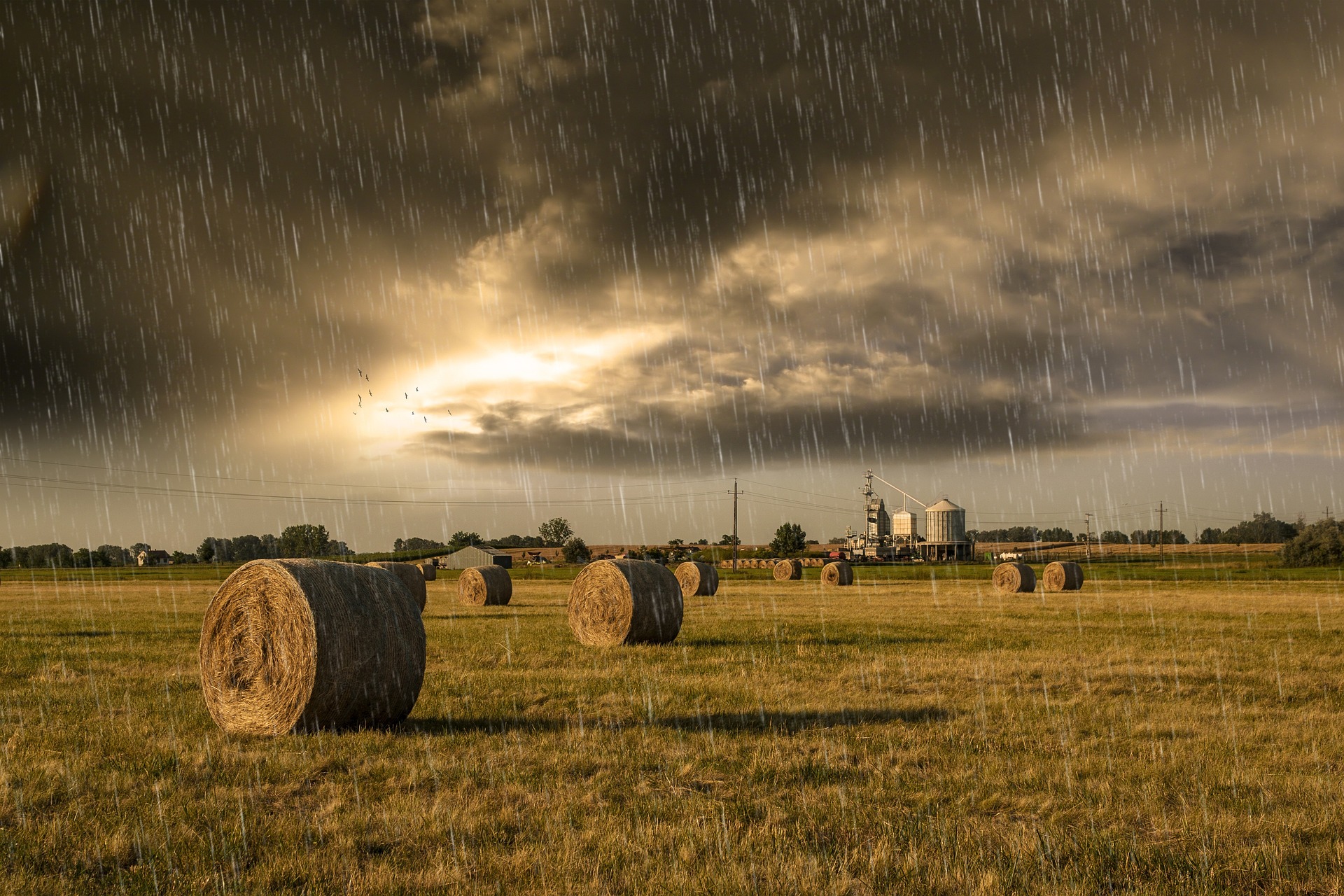 rain, kiša, pljusak, polje, bale sijena, slama, poljoprivreda, suša, oborina, oborine,