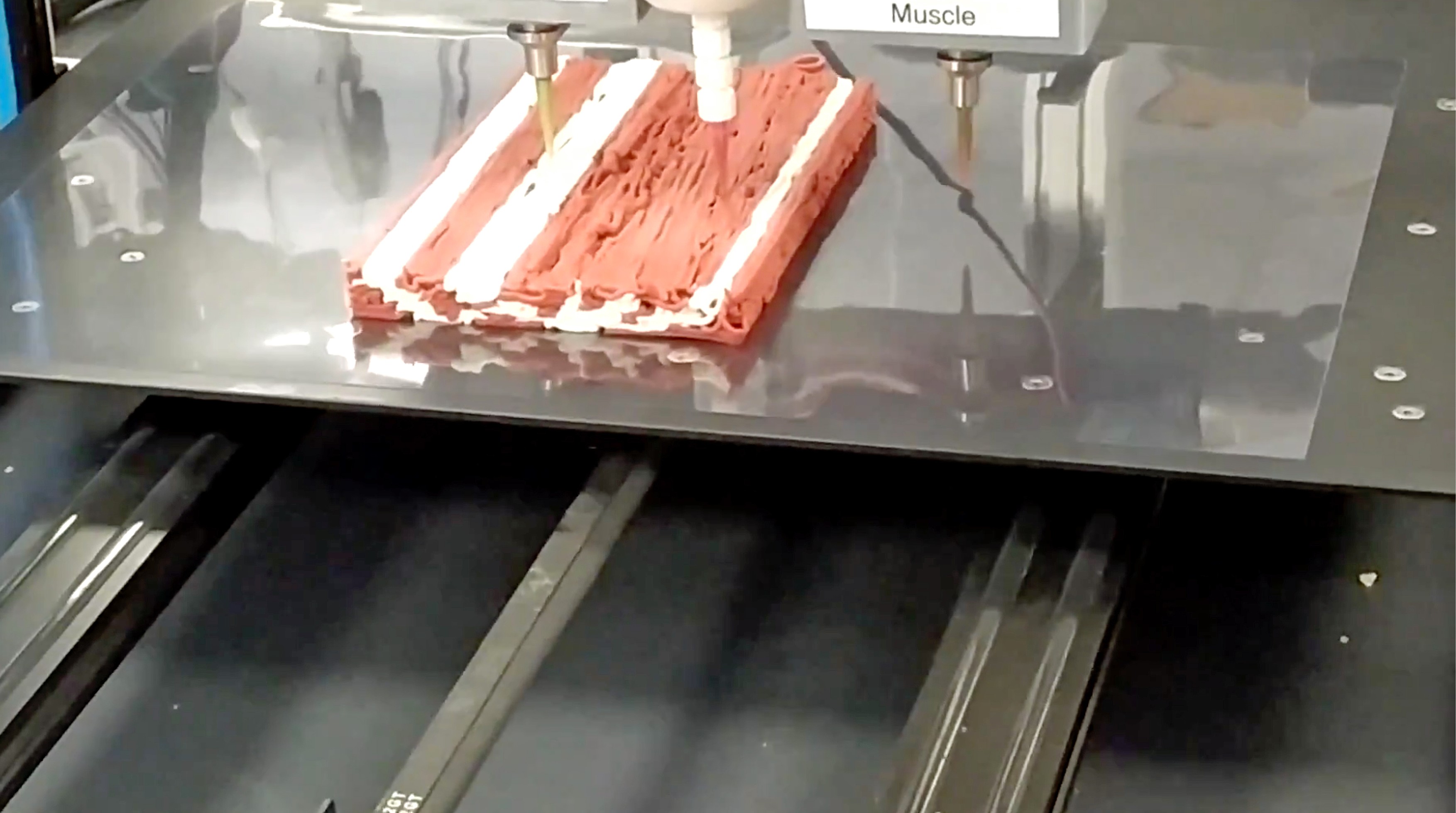 World's first 3D printed plant-based steak could be sizzling in kitchen pans by next year