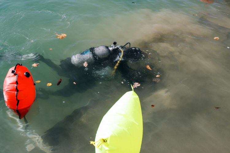 Luka Dakskobler/Bobo