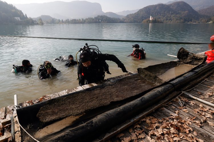 Luka Dakskobler/Bobo