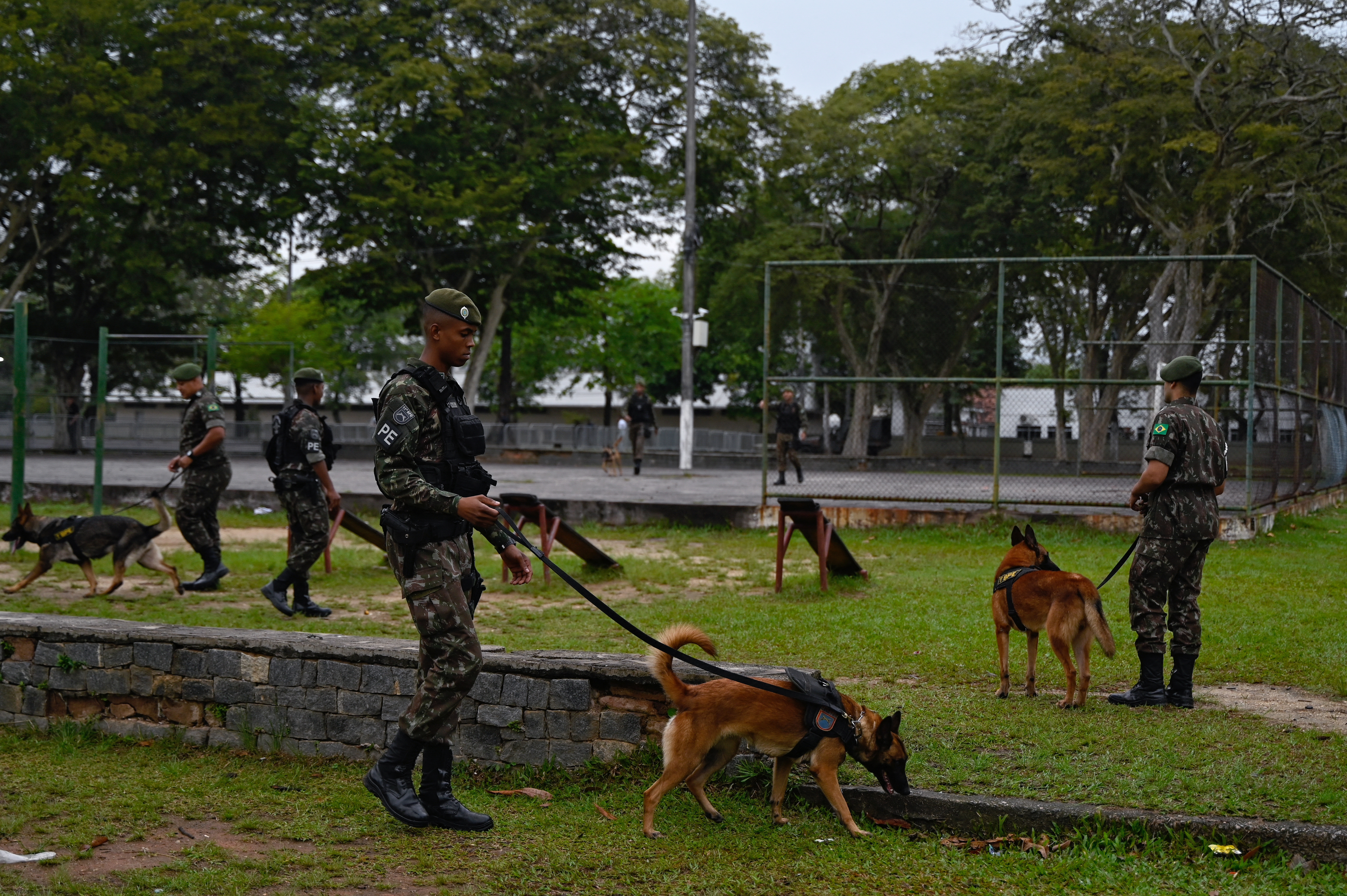 policija brazil, policija s psima, policijski psi, psi tragači,
