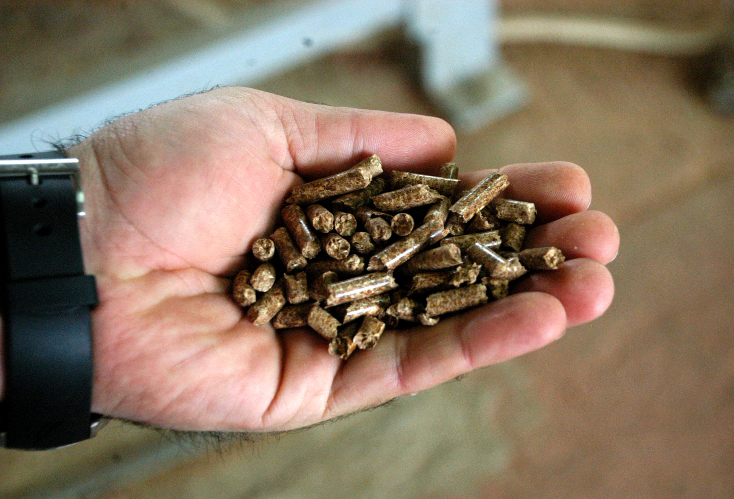 Poega: Pogoni u poekom kraju koji koriste biomasu za proizvodniju