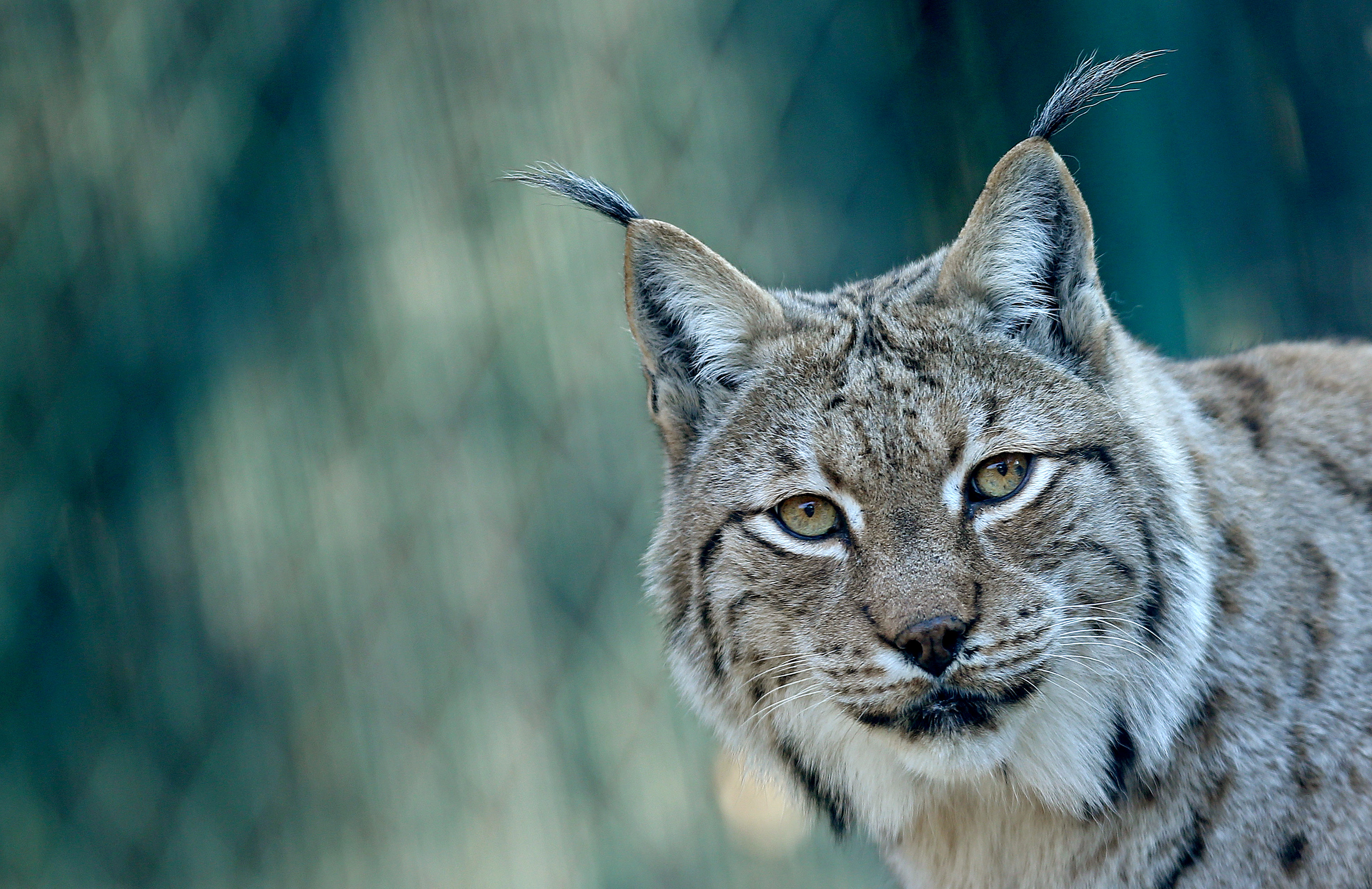 ivotinje u zagreba?kom Zoolokom vrtu