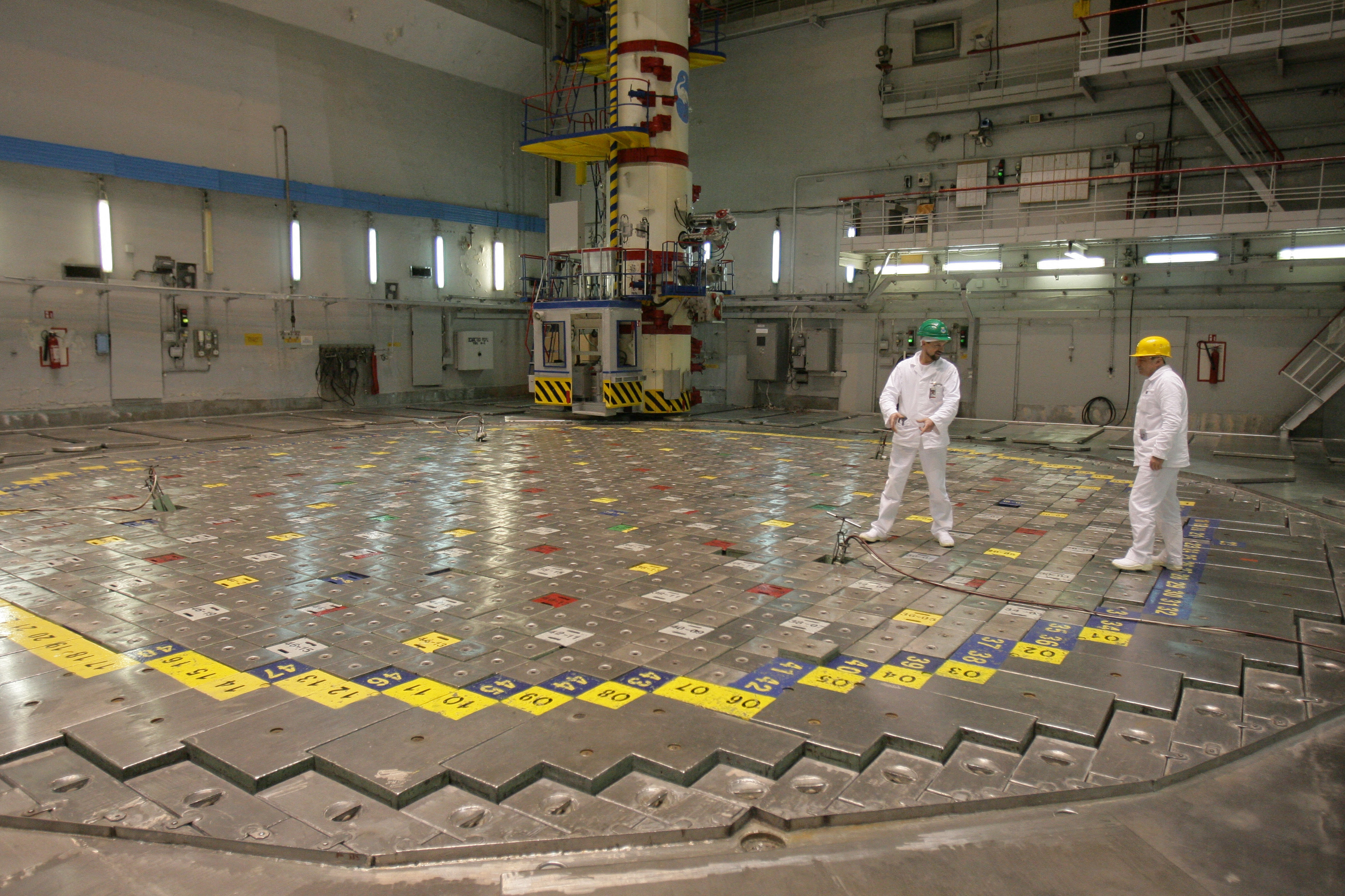 litva, nuklearni reaktor