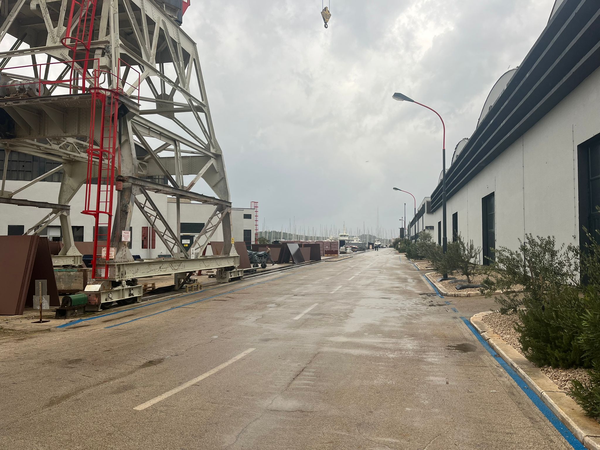 N1 / Vesela Šegvić