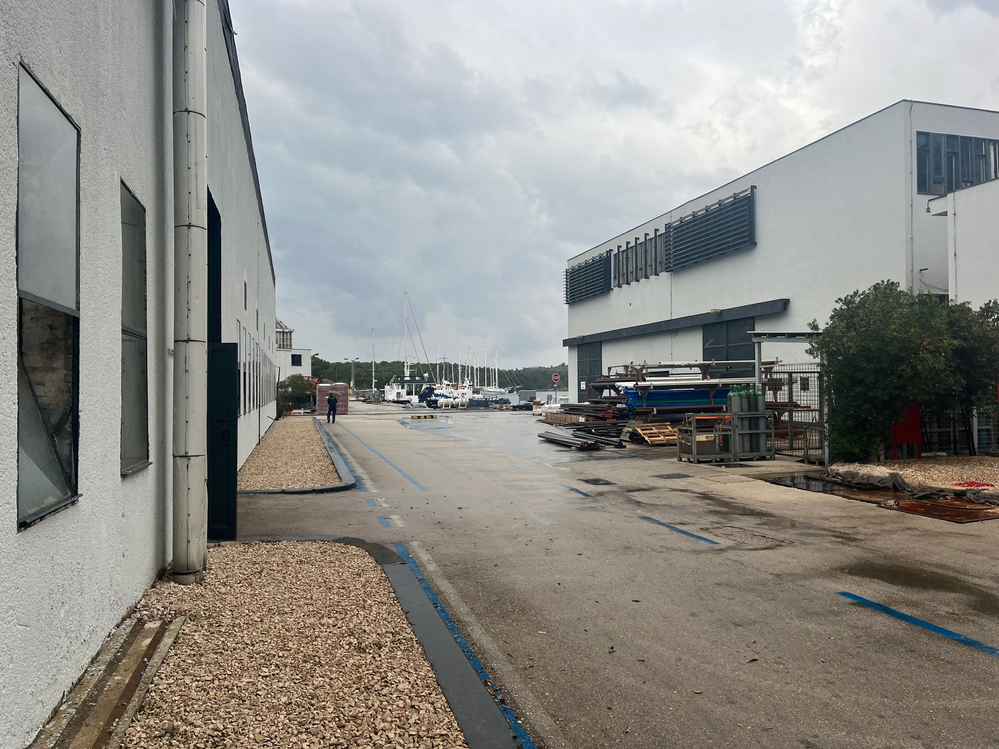 N1 / Vesela Šegvić