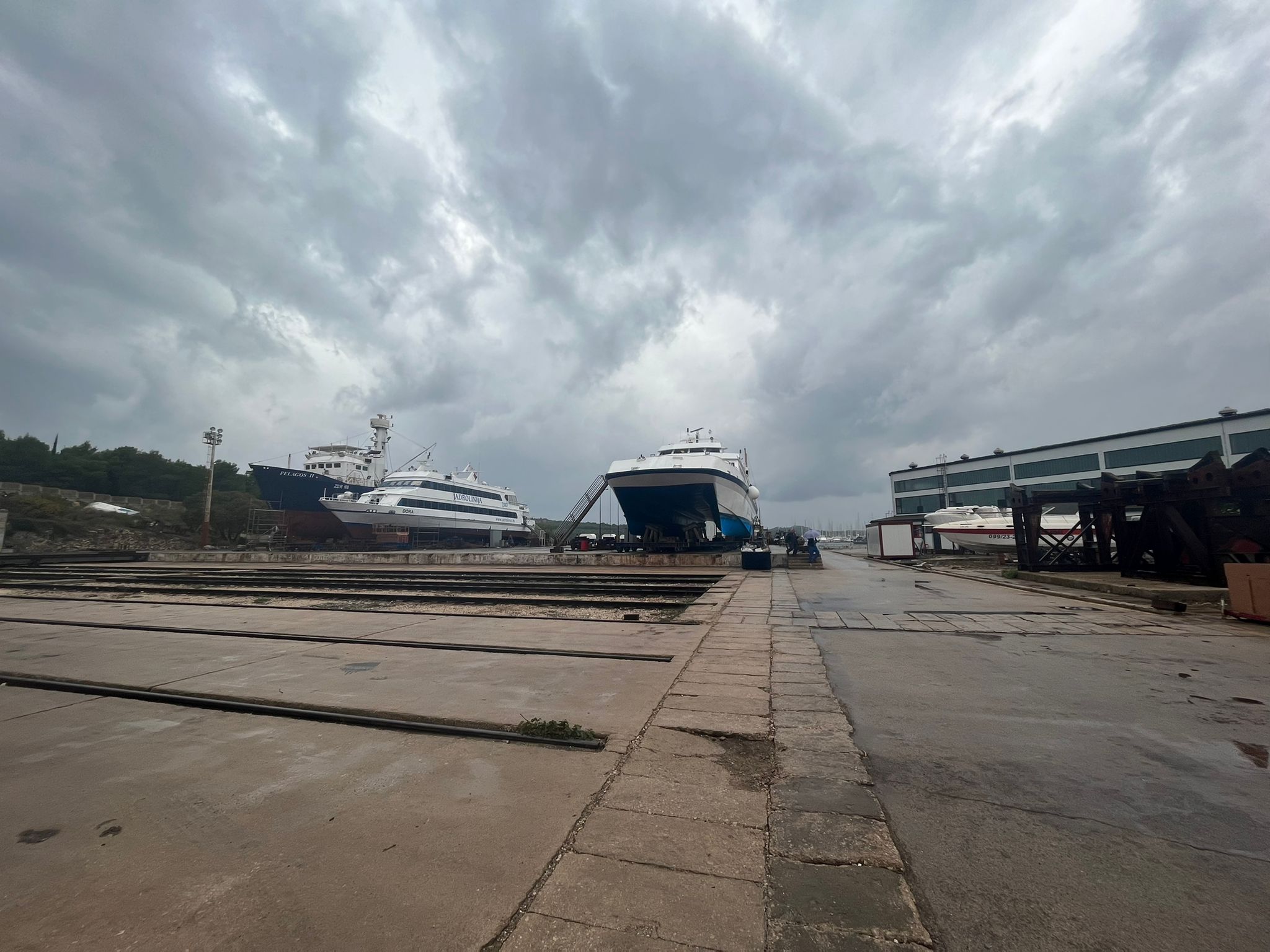 N1 / Vesela Šegvić