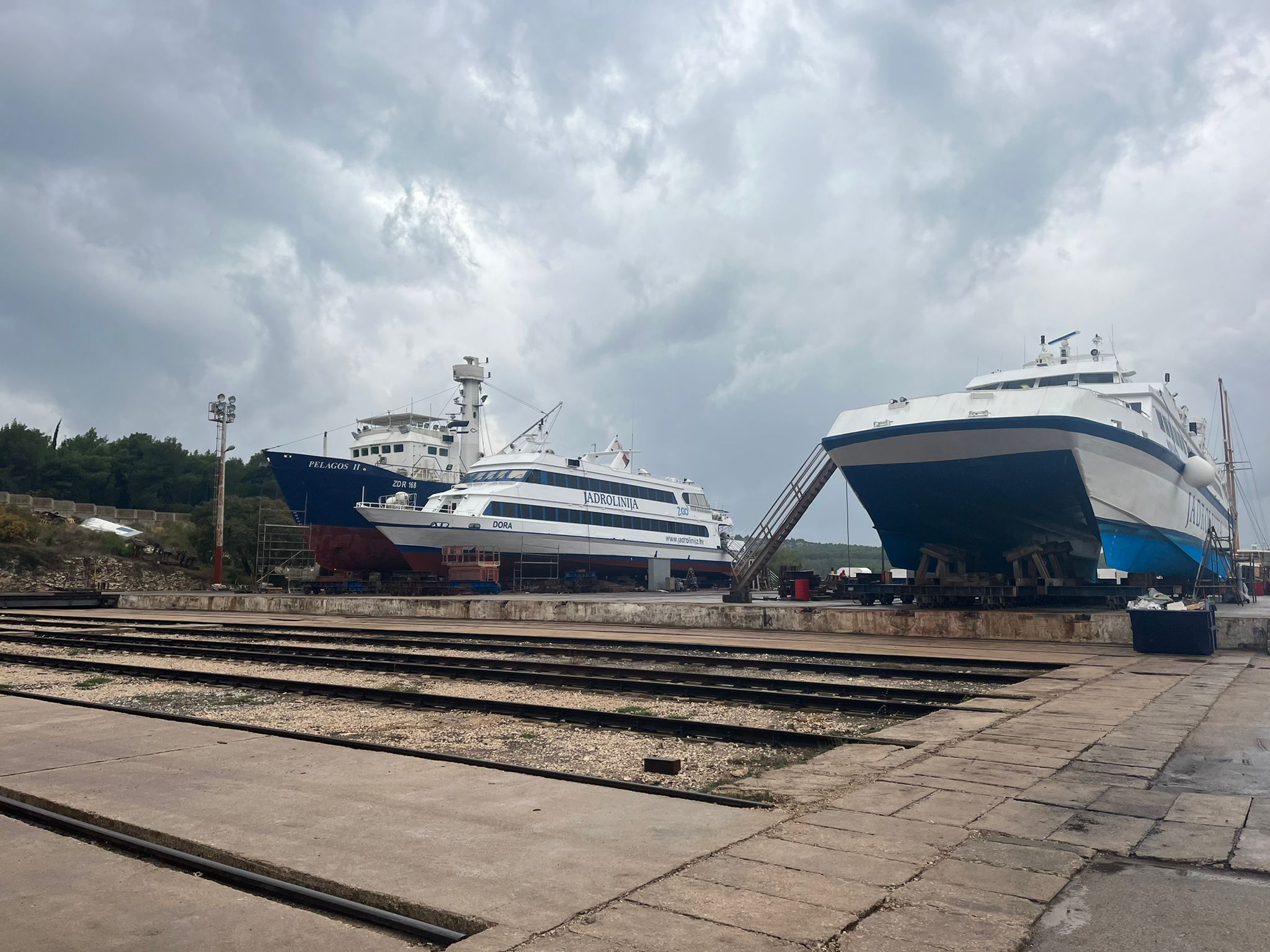 N1 / Vesela Šegvić