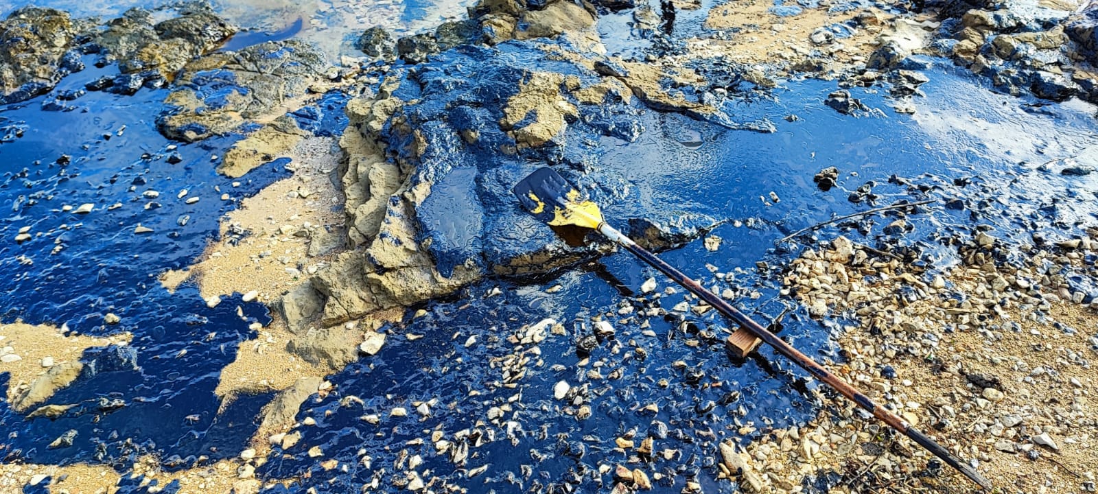 nafta, onečićeno more, ližnjan, ekološka katastrofa