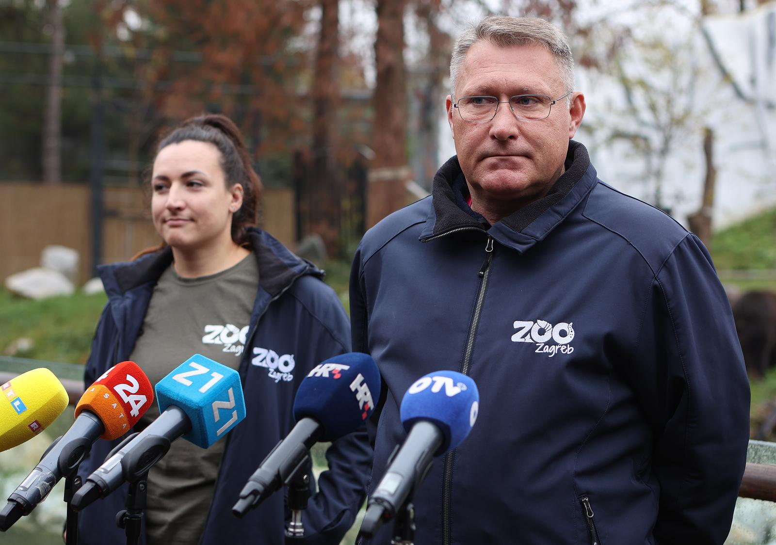 Zagrebački zoološki vrt dobio nove stanovnike, medvjediće Alberta i Ketu