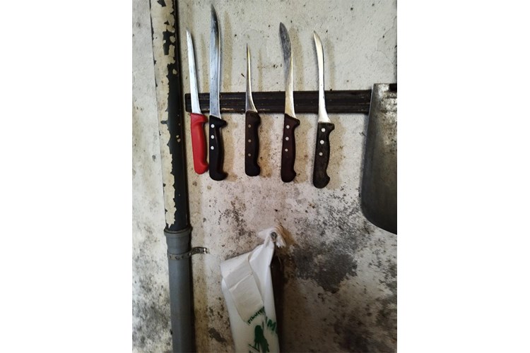 Državni inspektorat