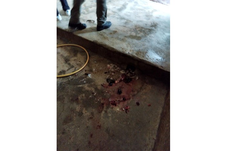 DIRH - ilegalna klaonica 6