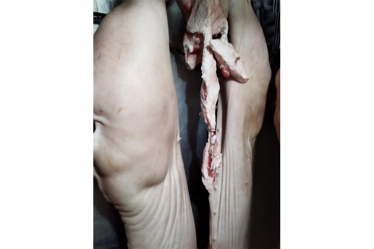 DIRH - ilegalna klaonica 8