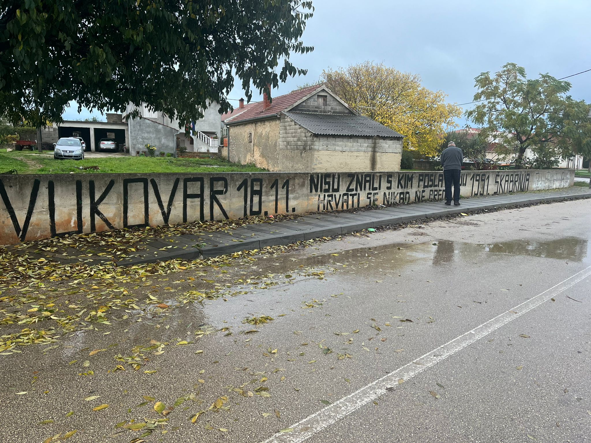 Vesela Šegvić / N1