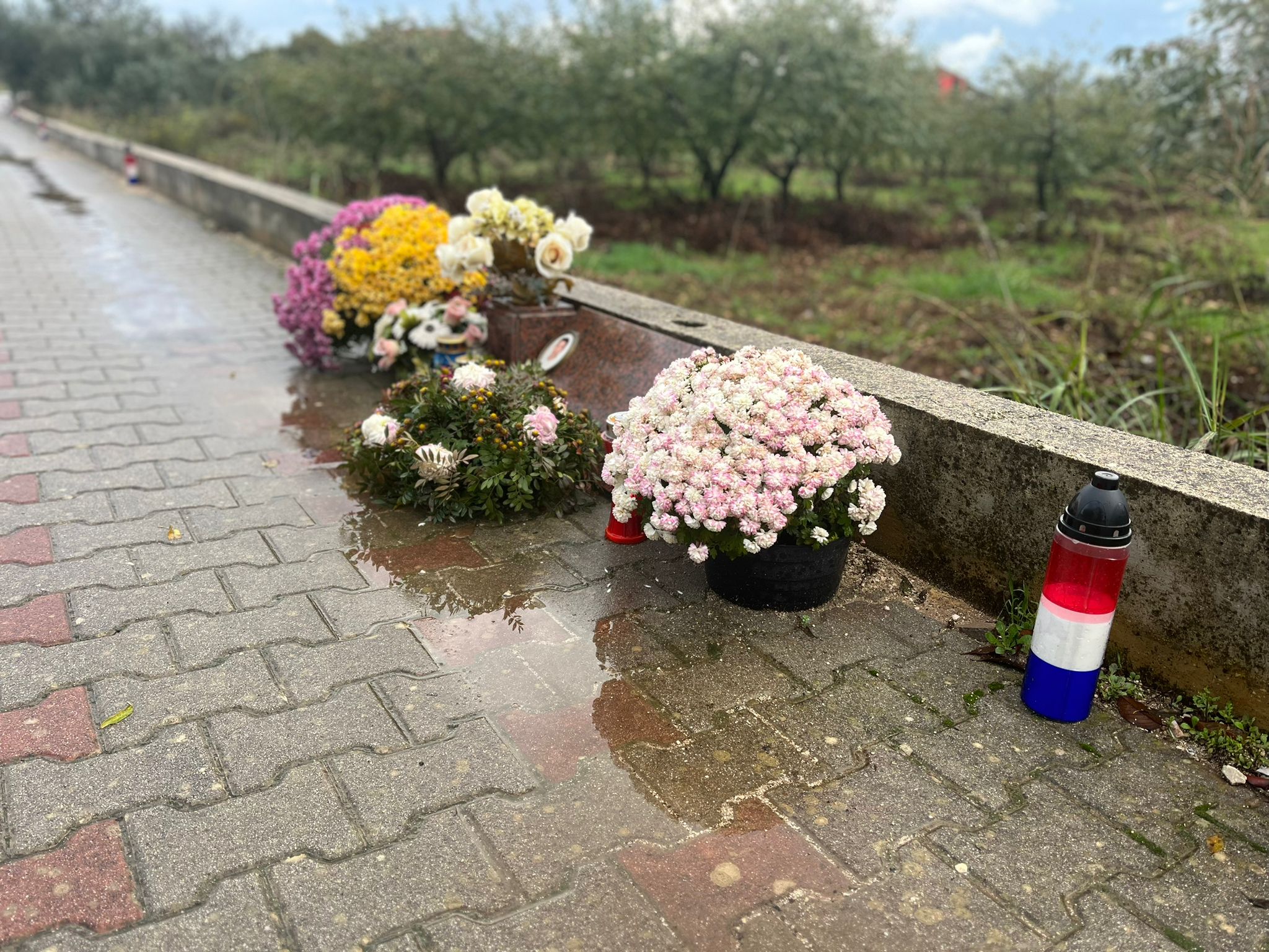 Vesela Šegvić / N1