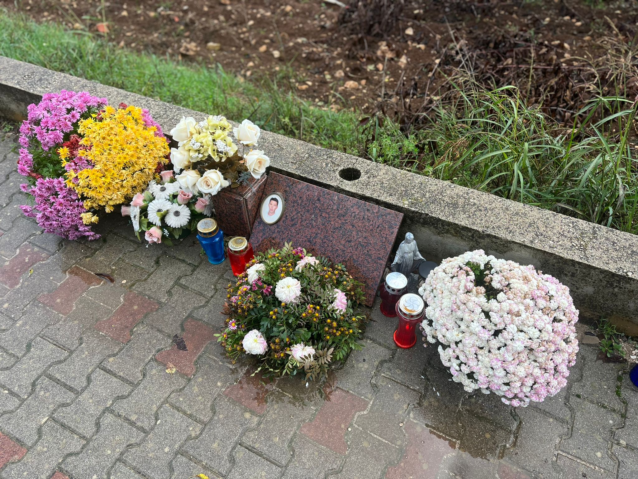 Vesela Šegvić / N1