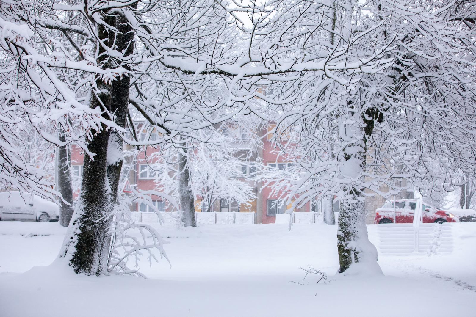Prvi ovogodišji snijeg zabijelio je Gorski Kotar