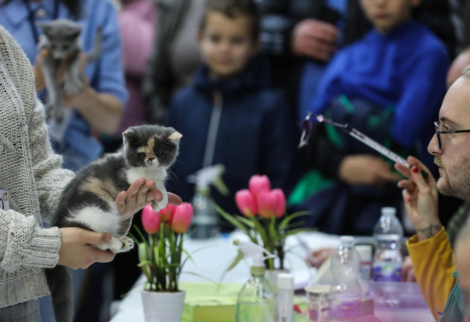 Jurica Galoic/PIXSELL