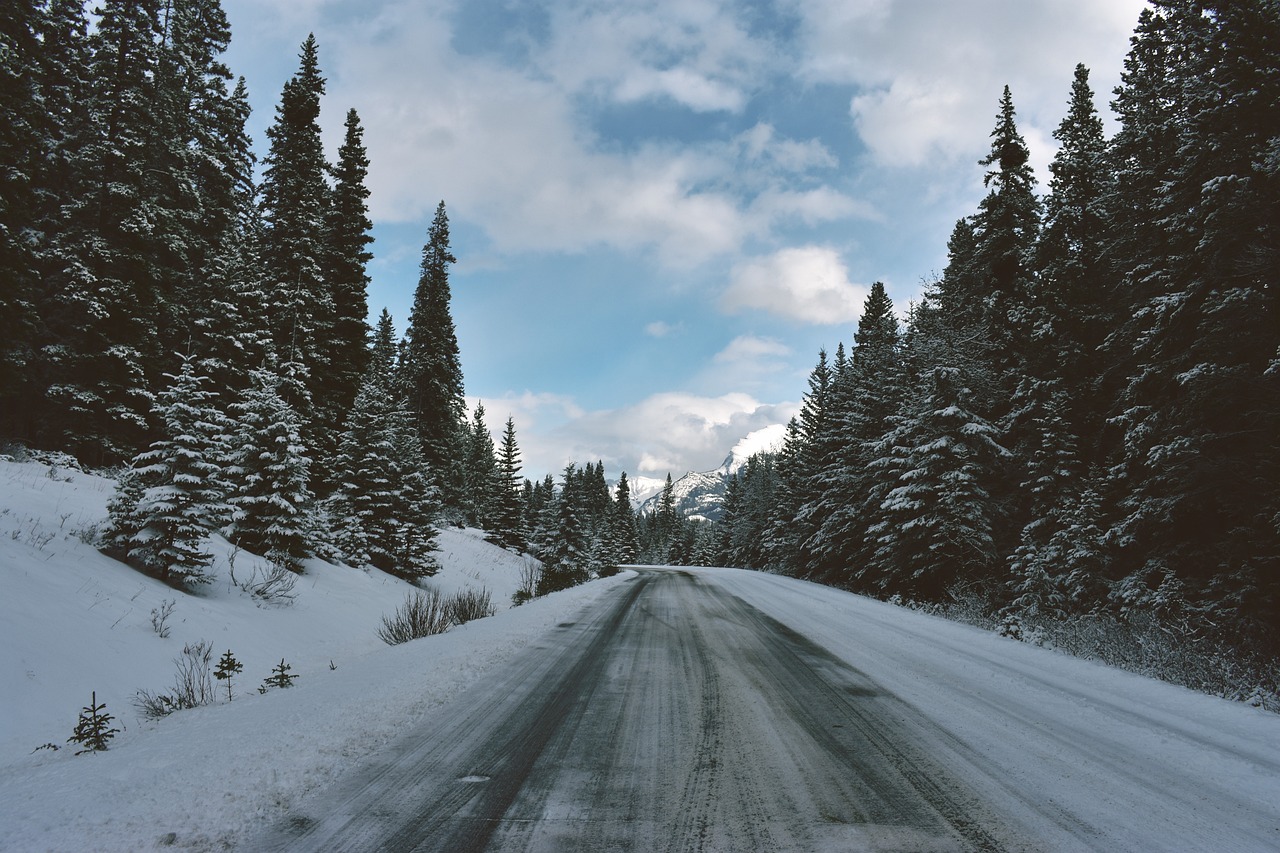 snijek, zima, šuma, gorje, bor, borovi, cesta, put, planina, zimski uvjeti