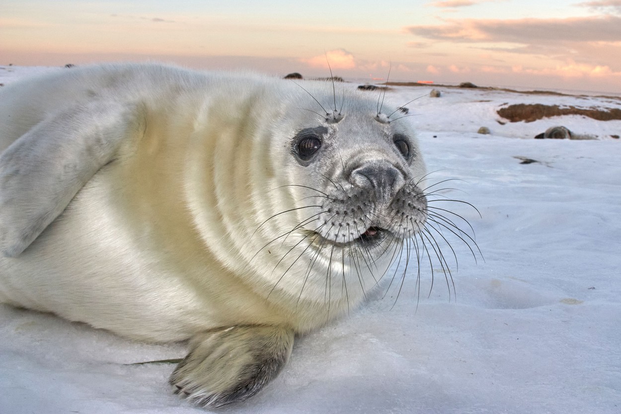 profimedia-0742440317