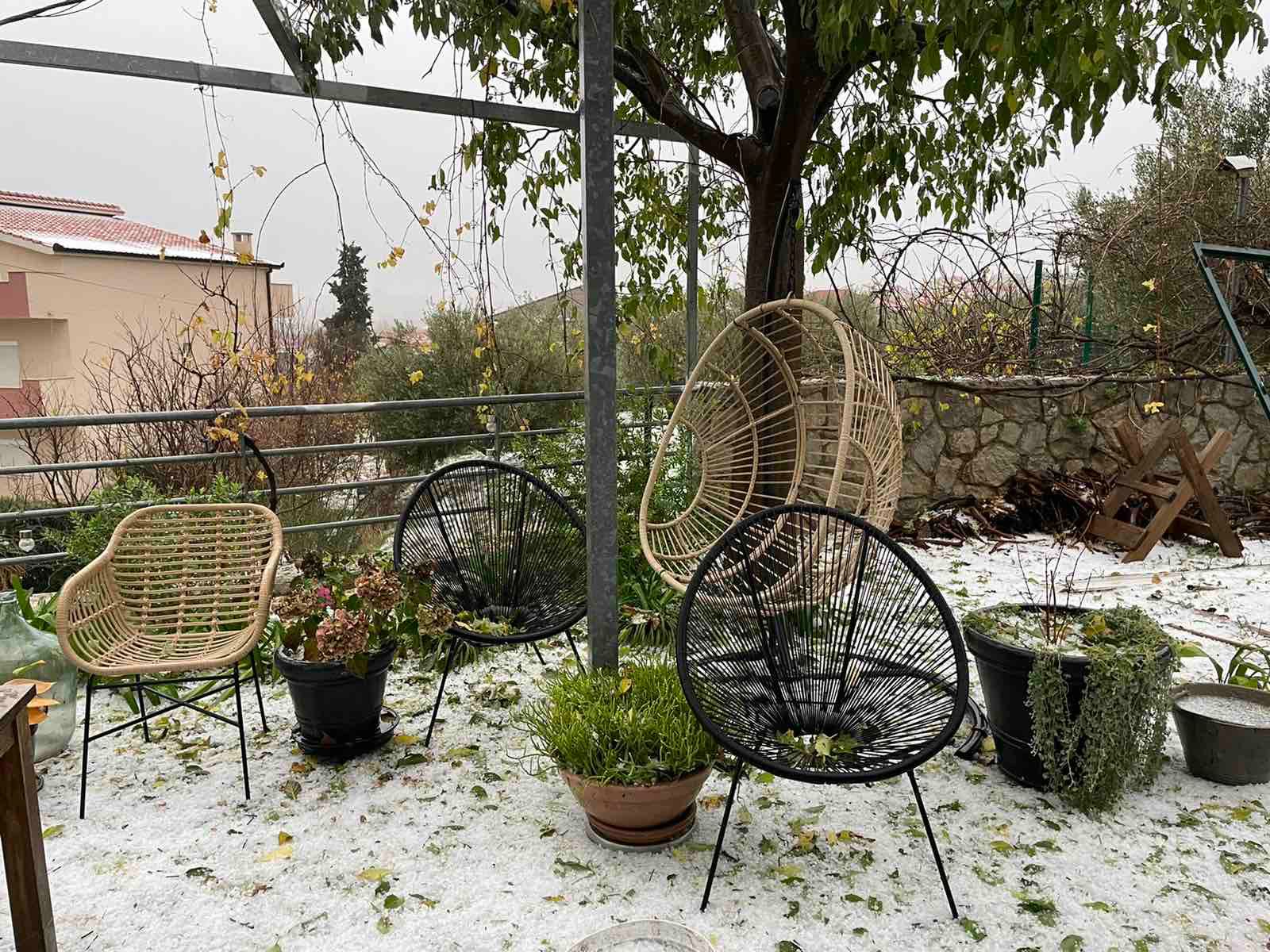 WhatsApp Image 2022-12-06 at 09.40.14