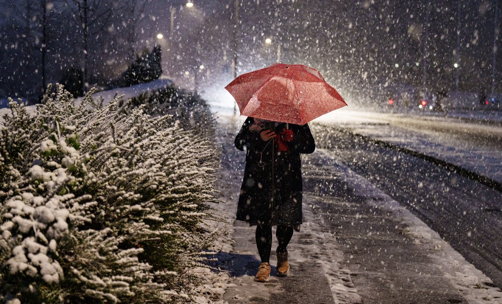 snijeg, zima, kišobran, hladnoća