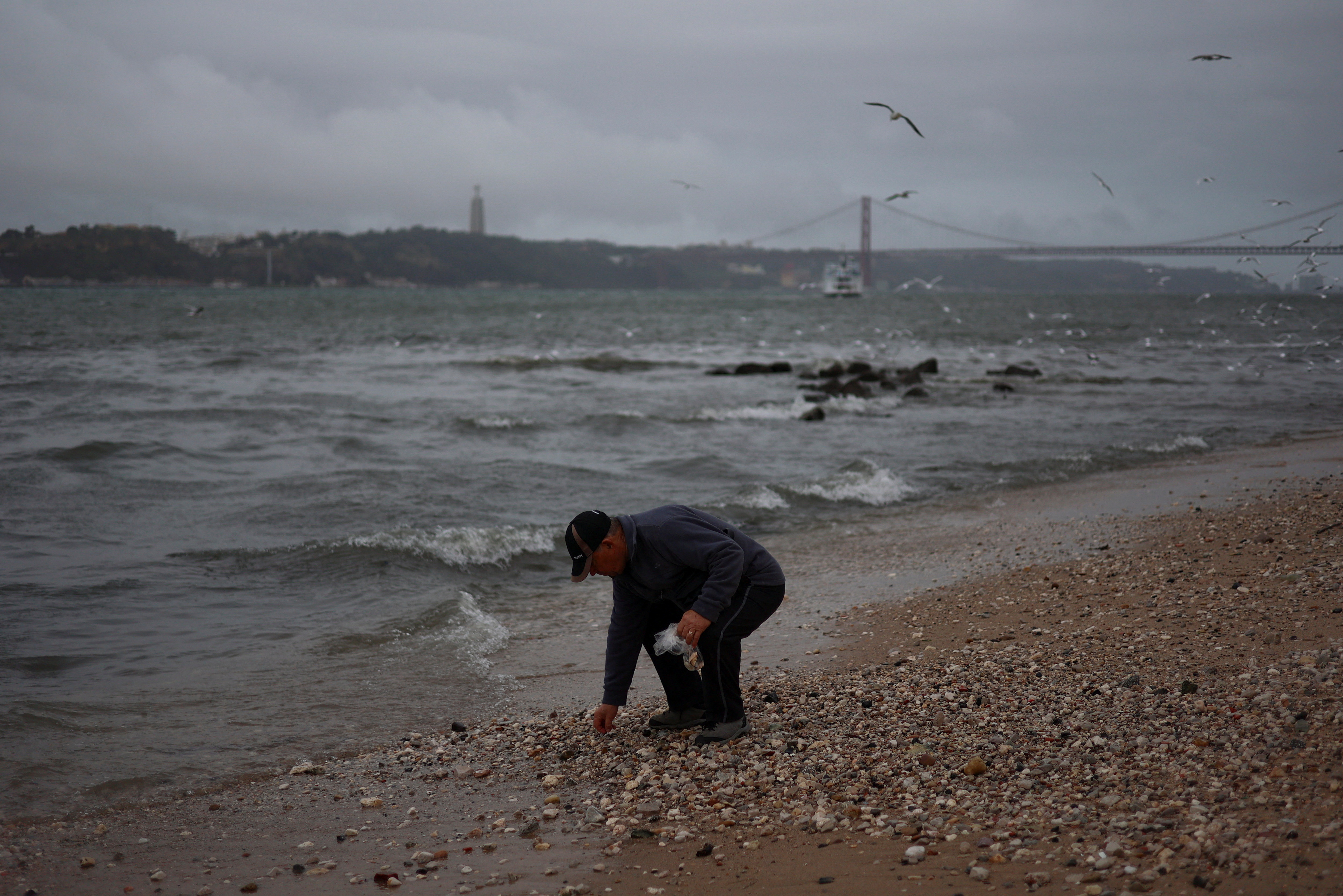 A man picks up clam sea shells from Tagus River in Lisbon