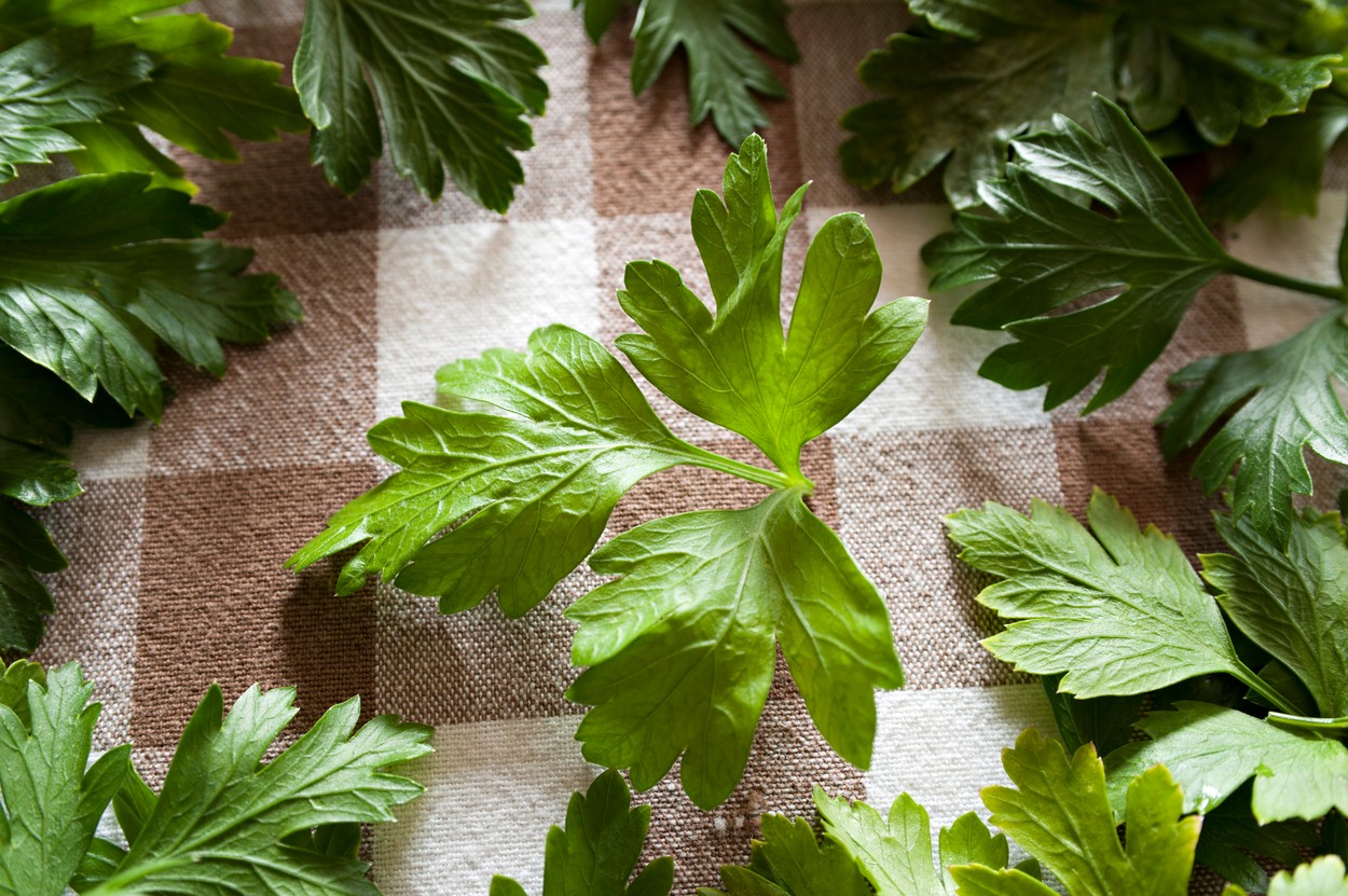parsley