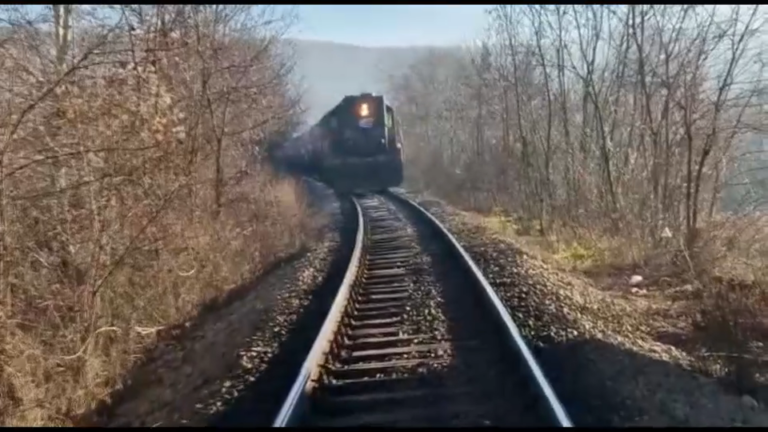 pirot vlak amonijak srbija