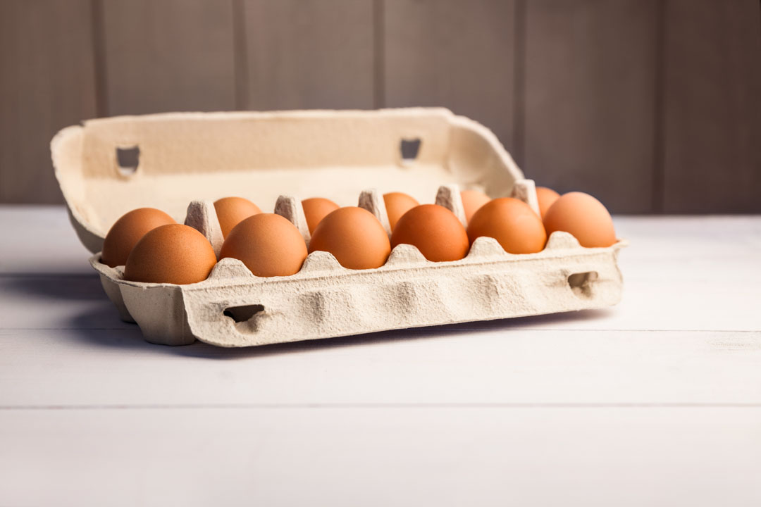 A 12 pack of eggs