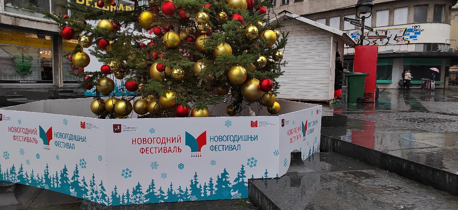 Ruska jelka, Beograd