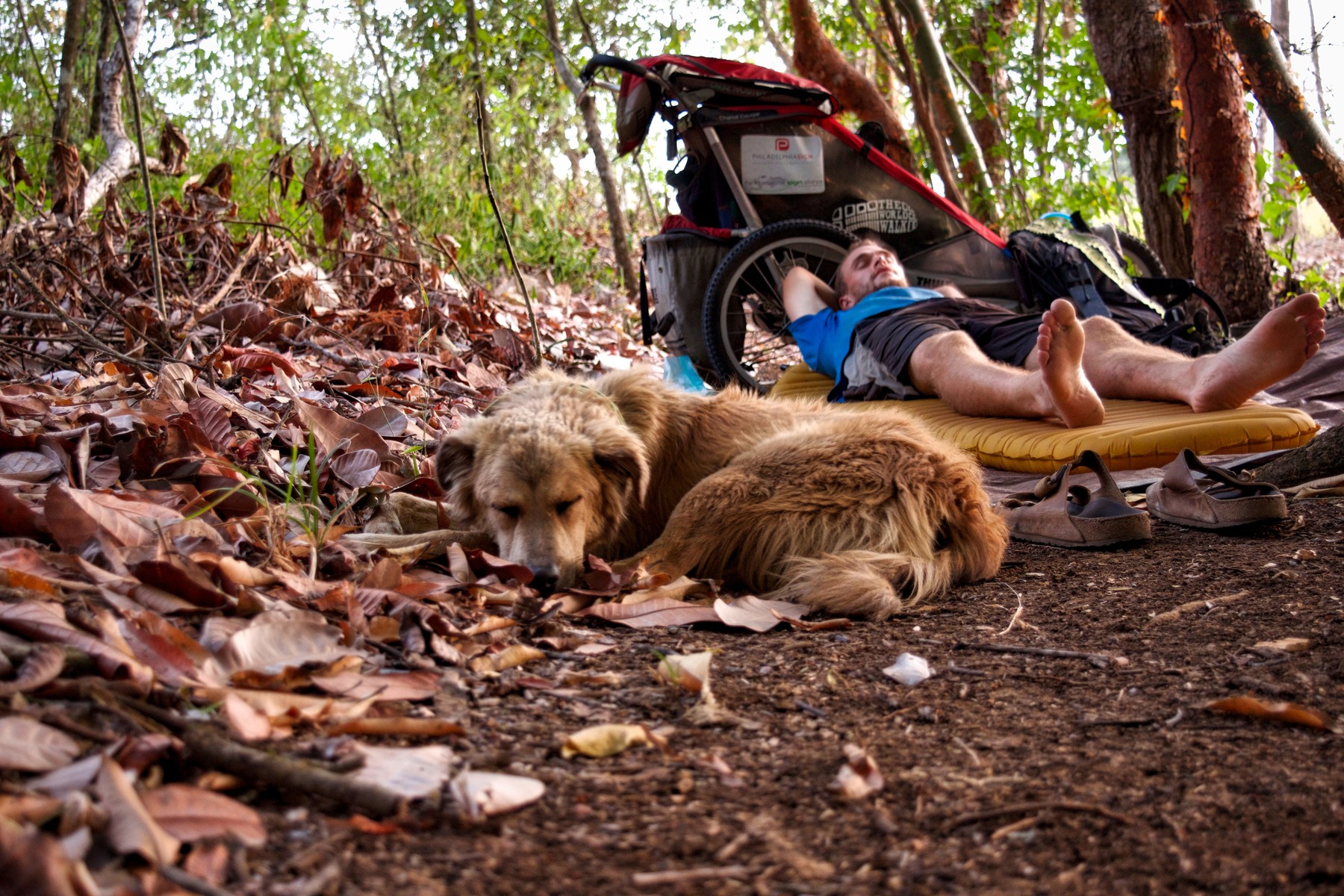 profimedia-0515643274