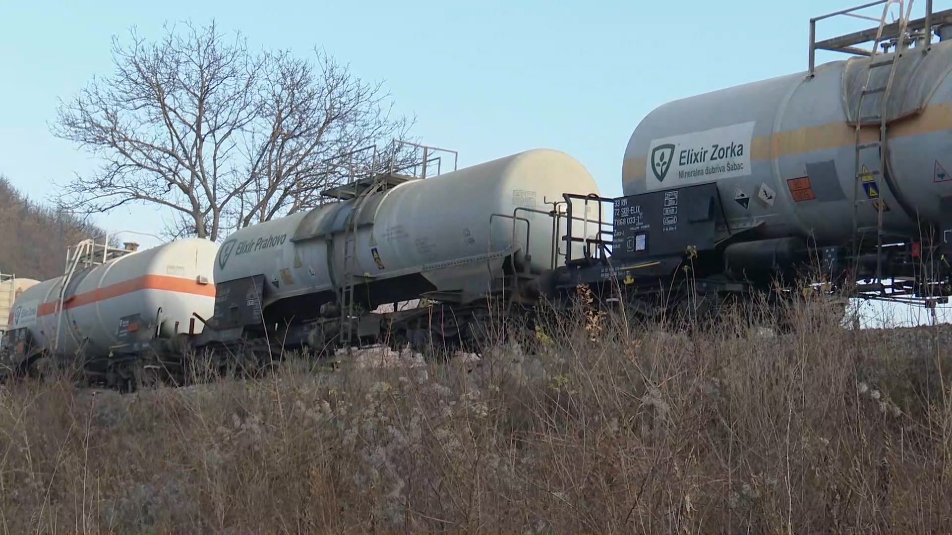 1672302726-eliksir-zorka