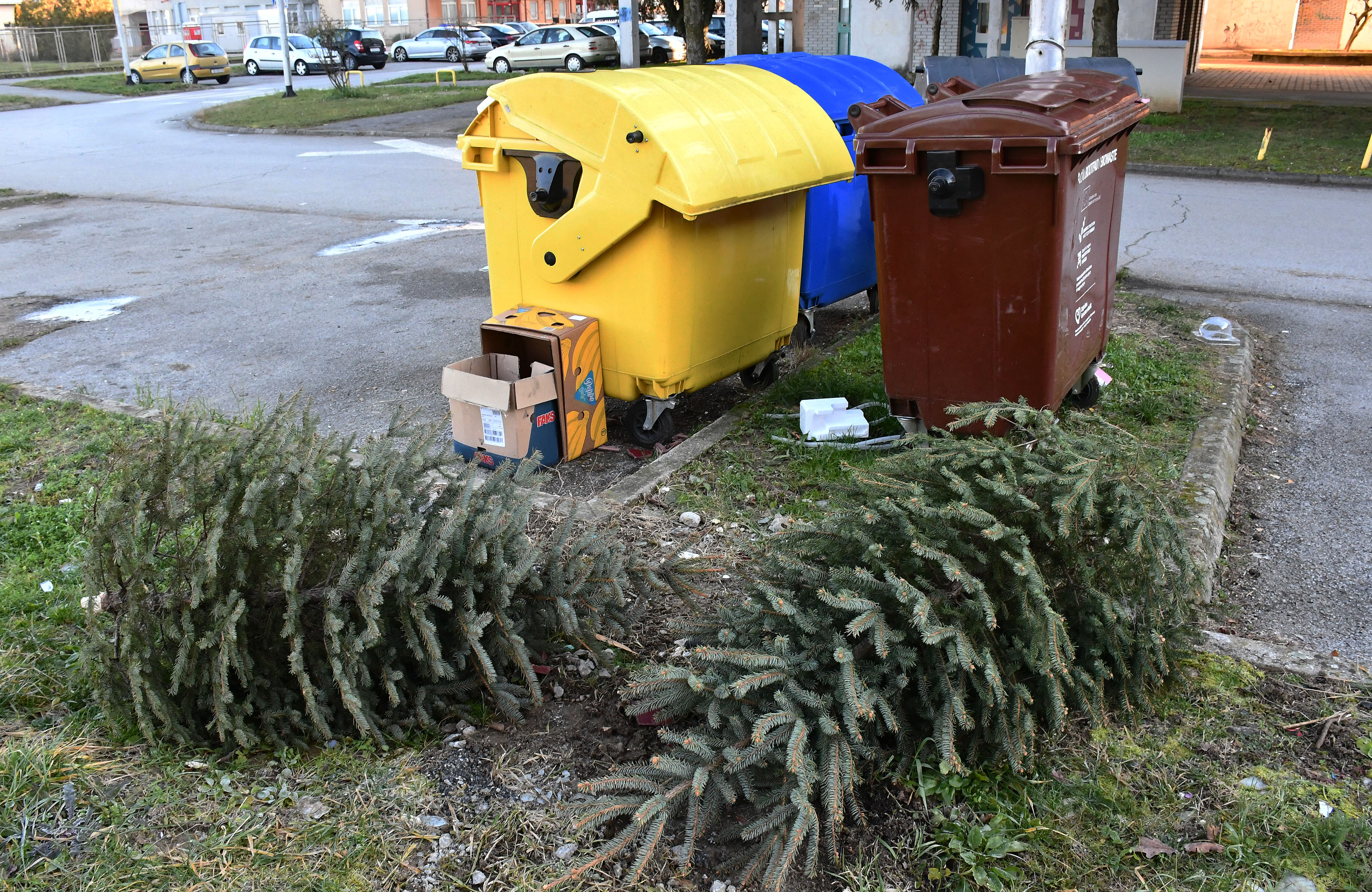 Slavonski Brod: Odbačena božicna drvca čekaju odvoz i recikliranje