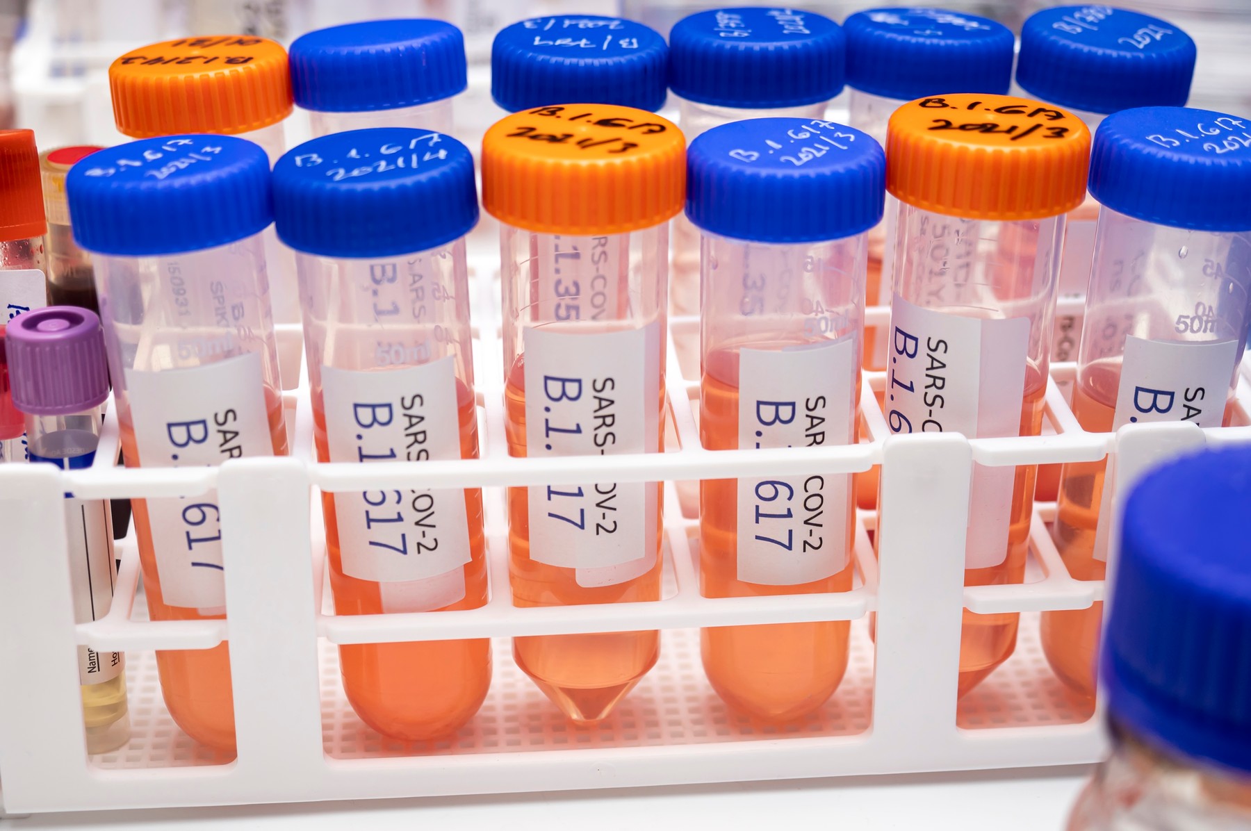 Sars-Cov-2 variant research, conceptual image