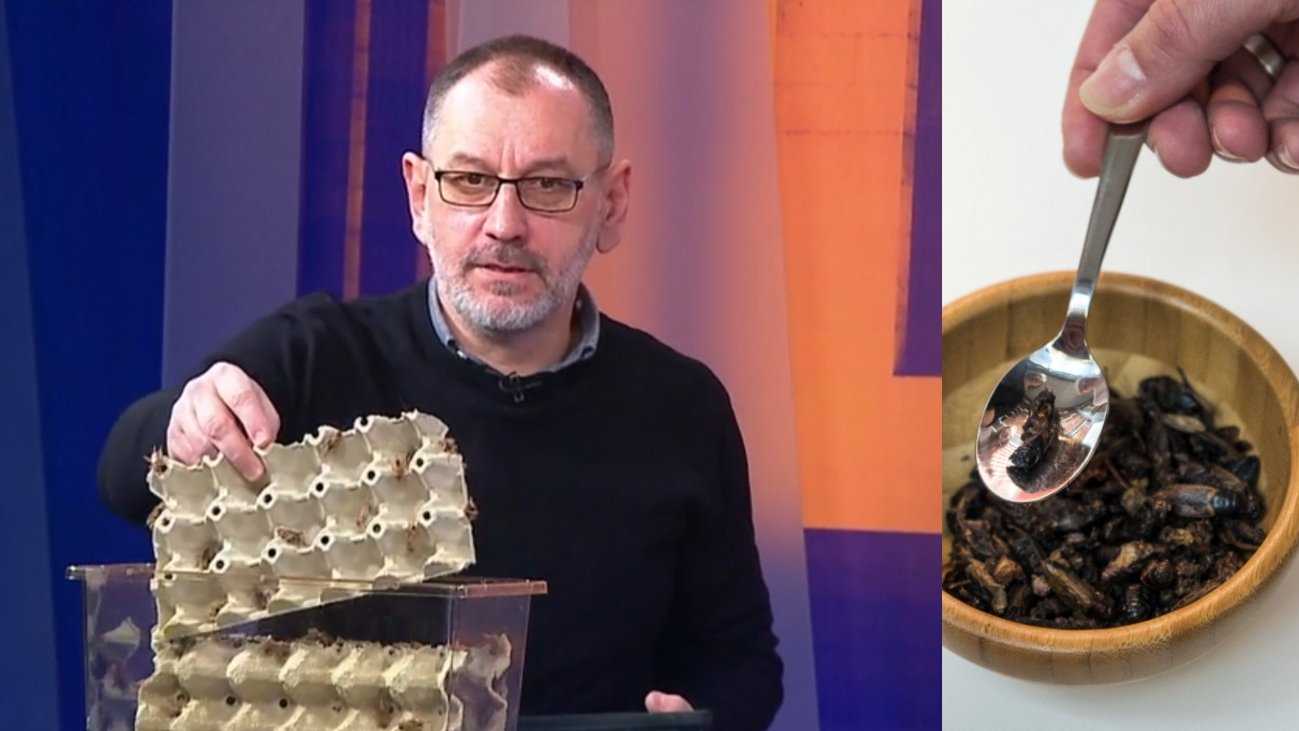 Collage Maker-26-Jan-2023-09.52-PM