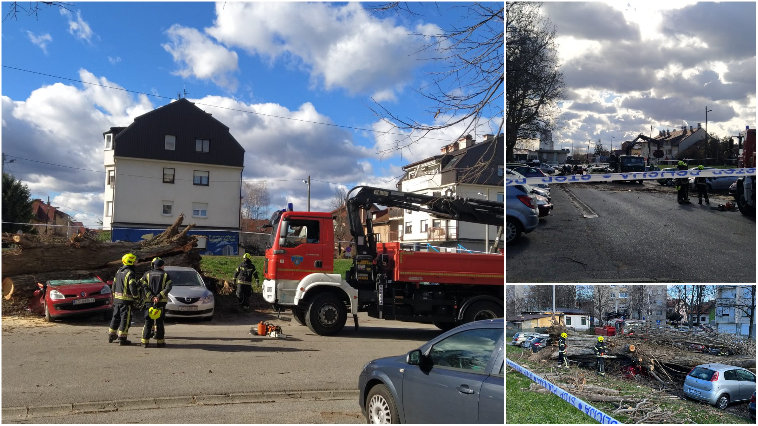 Collage Maker-04-Feb-2023-12.41-PM