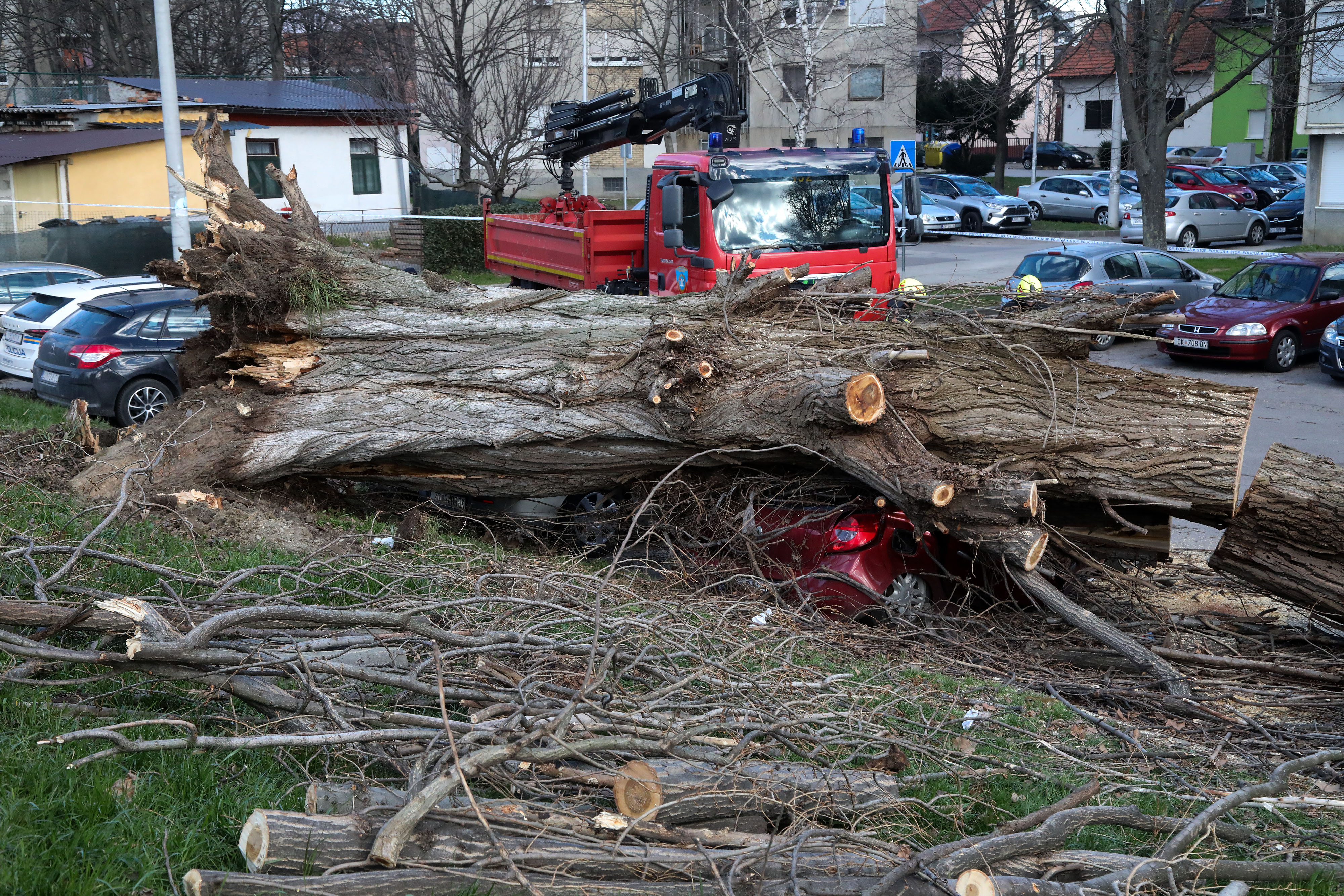 Zagreb: Vjetar srušio stablo jablana, oštećeno više automobila