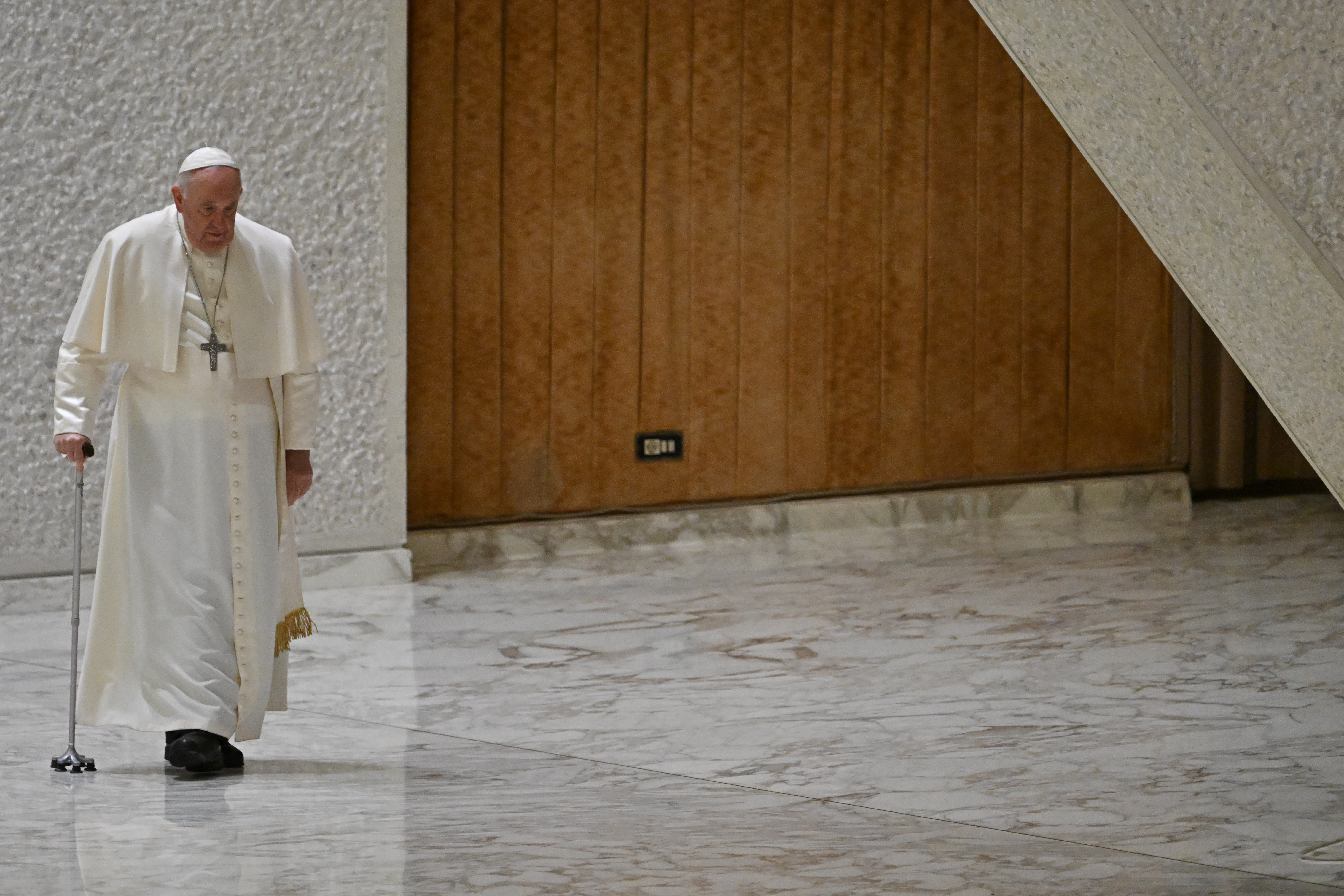 VATICAN-RELIGION-POPE-AUDIENCE