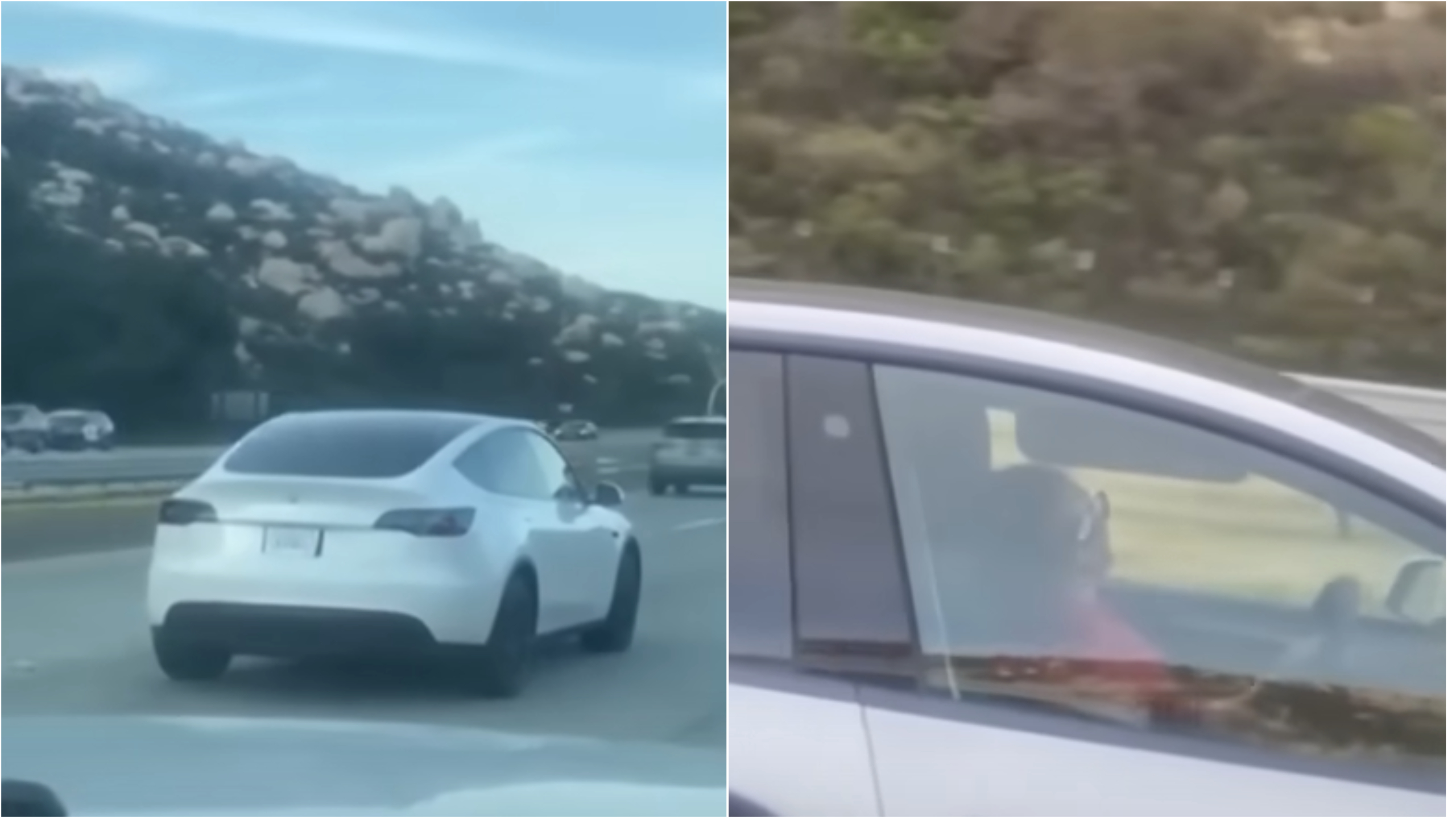 Collage Maker-18-Feb-2023-02.51-PM