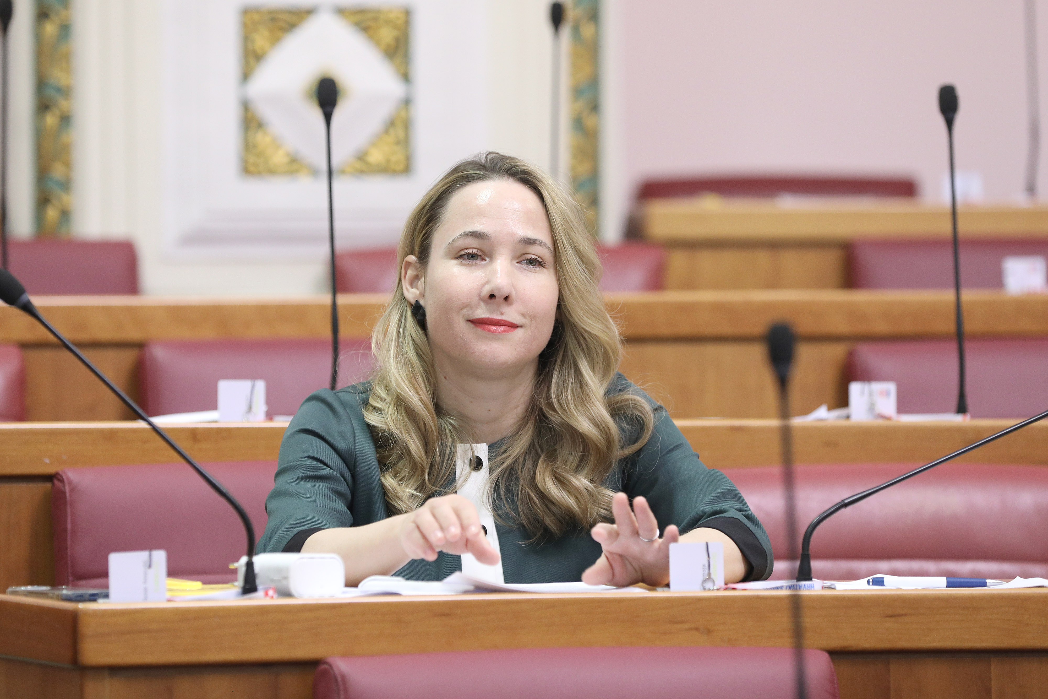 Zagreb: Sabor o Državnom inspektoratu