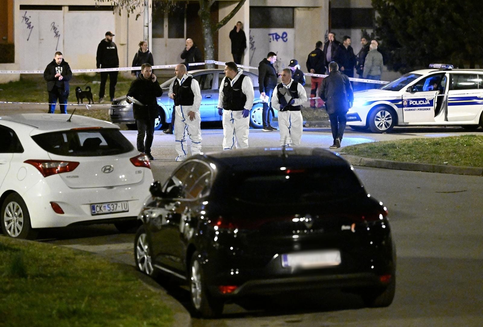 WhatsApp Image 2023-02-25 at 18.12.59